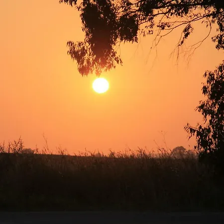 Apartamento Central Conil De La Frontera