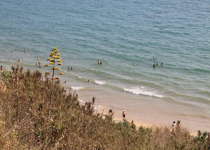 Apartamento Central Daire Conil De La Frontera