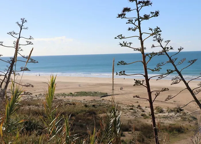 Daire Apartamento Central Conil De La Frontera